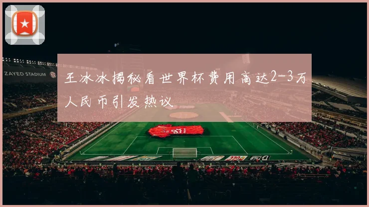 王冰冰揭秘看世界杯费用高达2-3万人民币引发热议